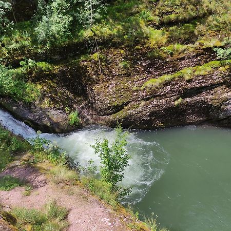 Vila Zapis - Zavojsko Jezero Pirot Esterno foto