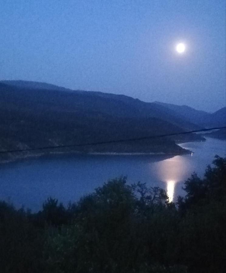 Vila Zapis - Zavojsko Jezero Pirot Esterno foto