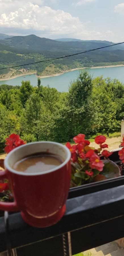 Vila Zapis - Zavojsko Jezero Pirot Esterno foto