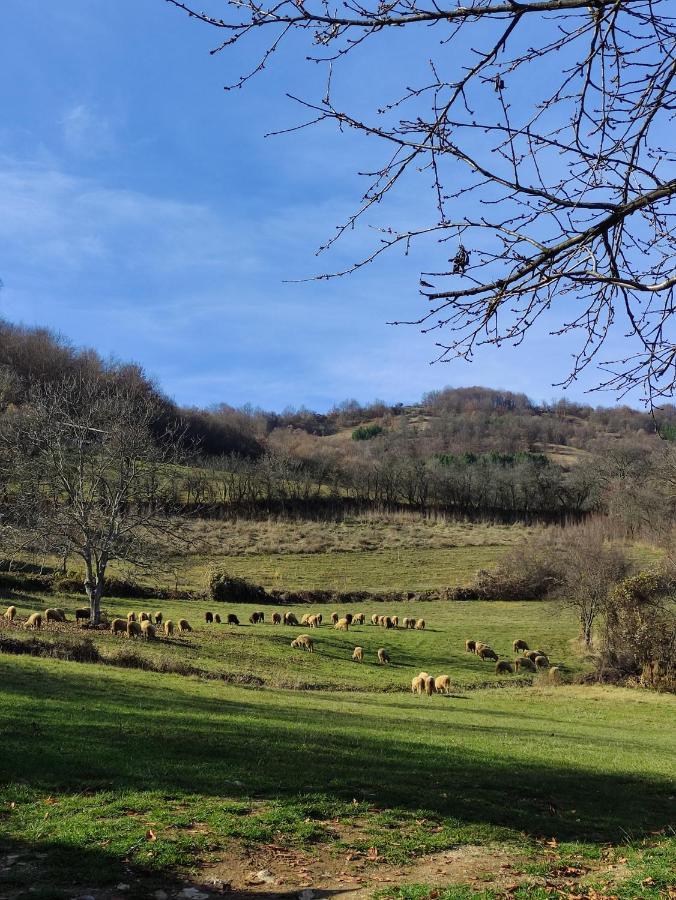 Vila Zapis - Zavojsko Jezero Pirot Esterno foto