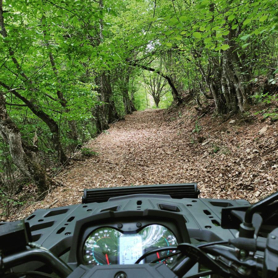 Vila Zapis - Zavojsko Jezero Pirot Esterno foto