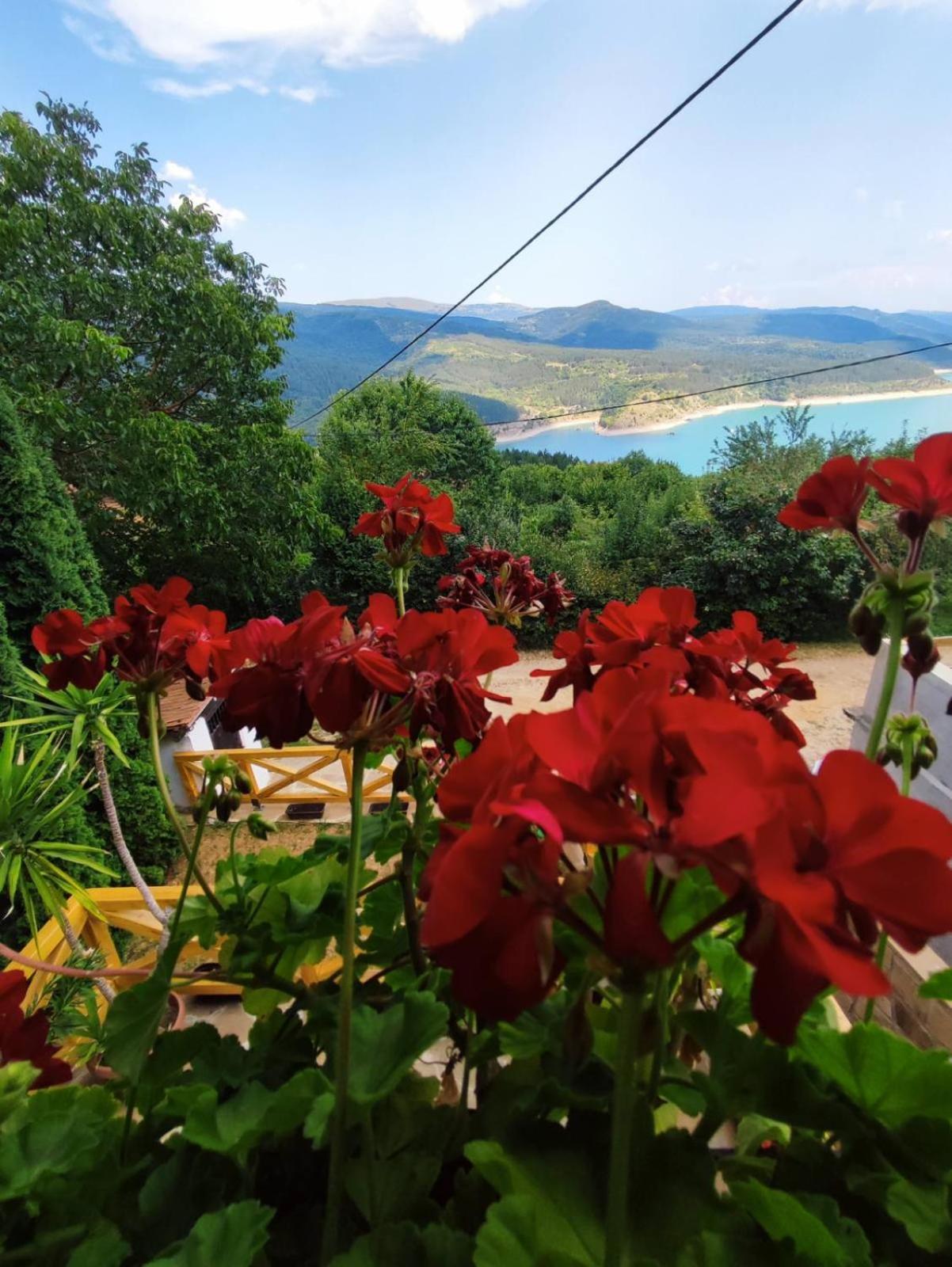 Vila Zapis - Zavojsko Jezero Pirot Esterno foto